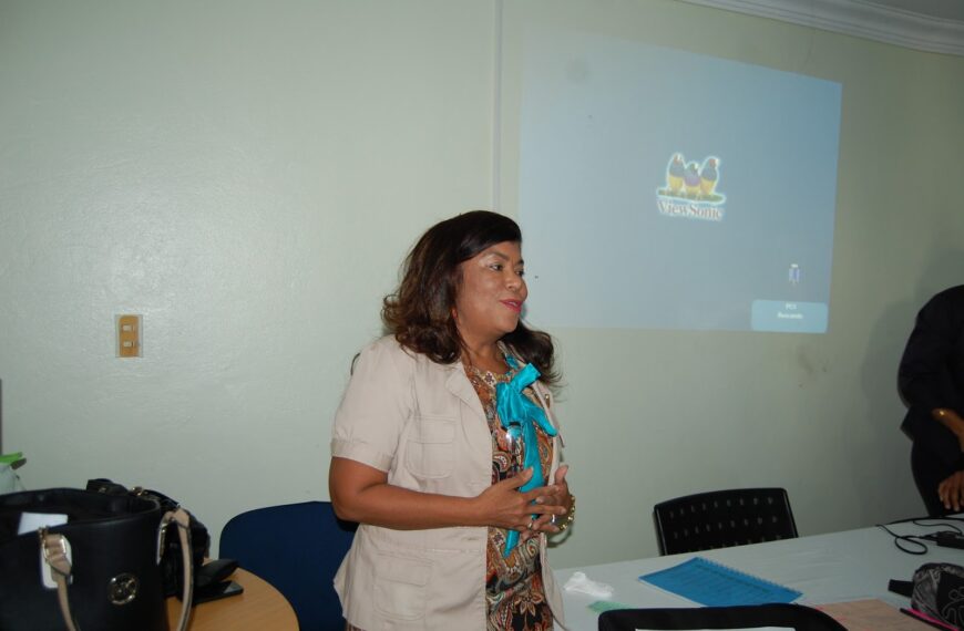 Gerencias de &Aacute;reas del Servicio Regional de Salud Este exponen sobre resultados de Zonificaci&oacute;n y Sectorizaci&oacute;n.